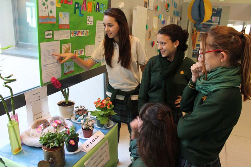 Semana Ciencias en Los Tilos